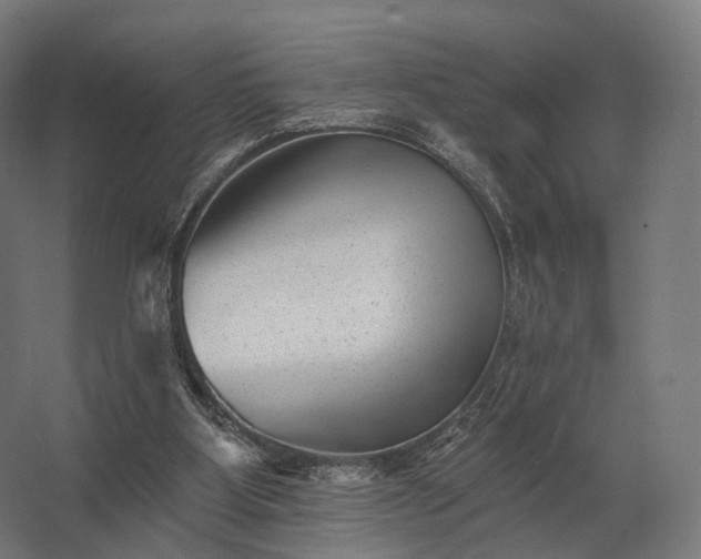 X0000062790107200512290233