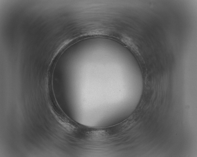 X0000062790108200512290233