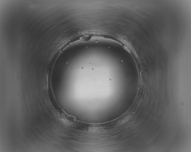 X0000062790109200512290233