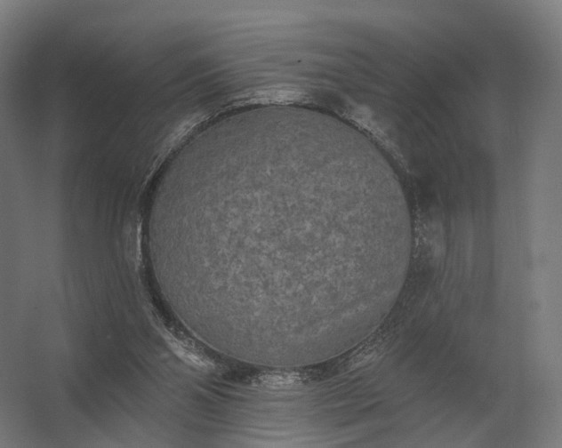 X0000062790110200512290233