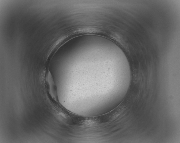 X0000062790111200512290233