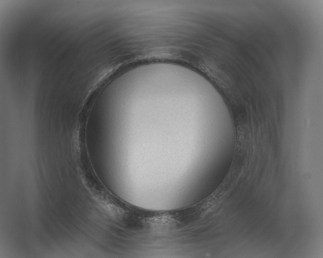 X0000062790112200512290233