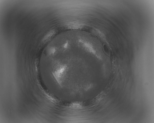 X0000062790114200512290233