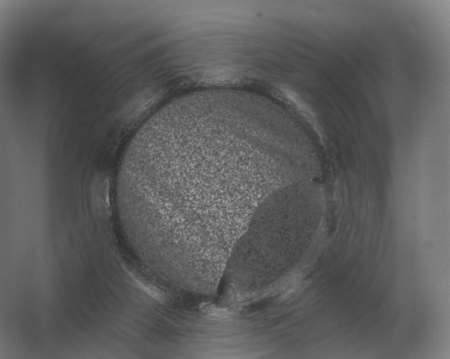 X0000062790115200512290233