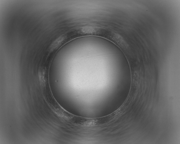 X0000062790116200512290233