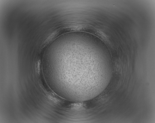 X0000062790118200512290233