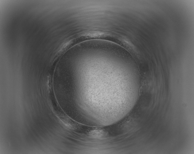 X0000062790119200512290233