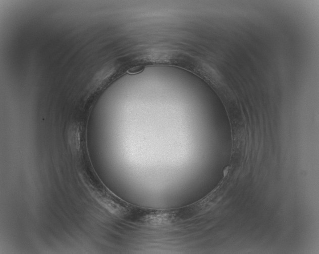 X0000062790120200512290233