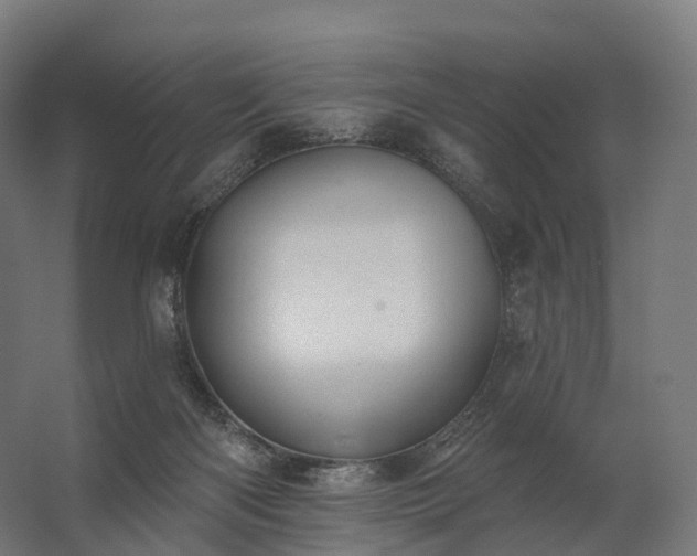 X0000062790122200512290232