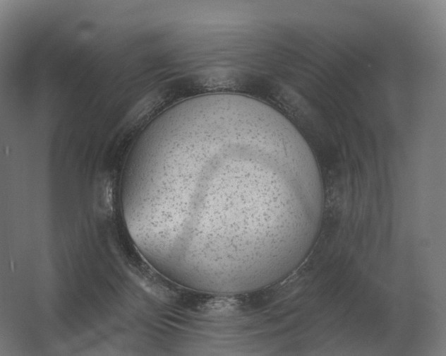 X0000062790124200512290232