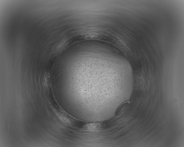 X0000062790126200512290232