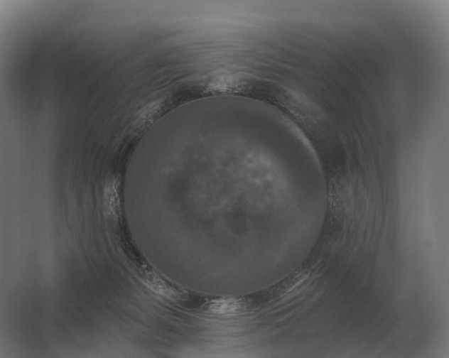 X0000062790127200512290232