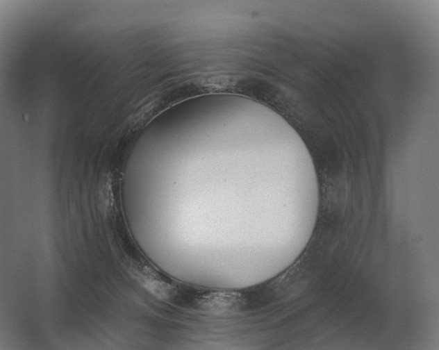 X0000062790128200512290232