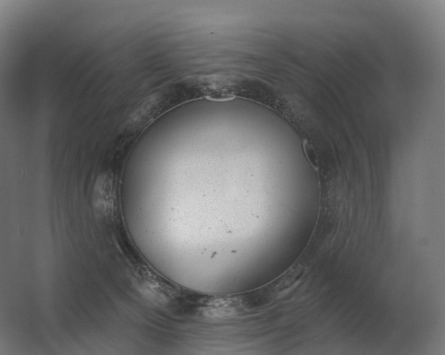 X0000062790129200512290232