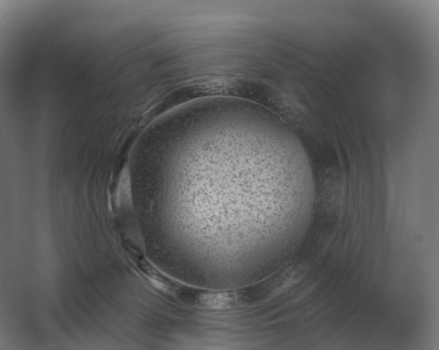 X0000062790131200512290232