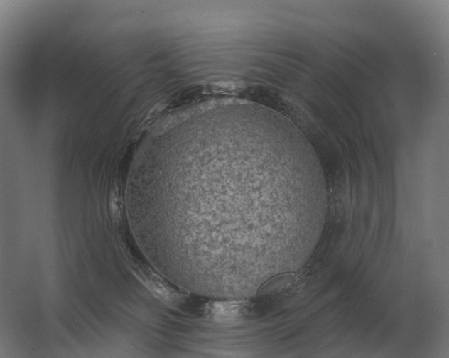 X0000062790134200512290232