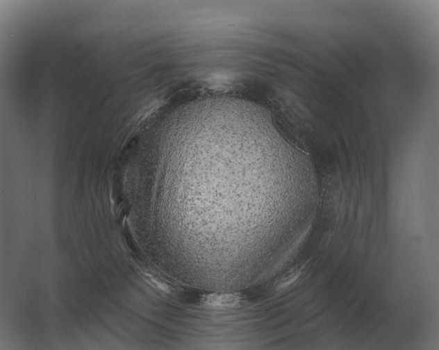 X0000062790135200512290232