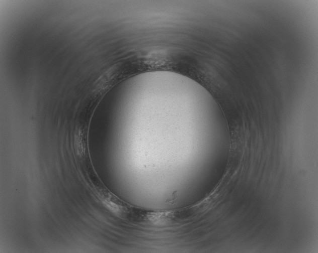 X0000062790136200512290232