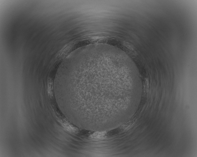 X0000062790138200512290232