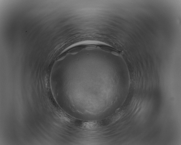 X0000062790139200512290232