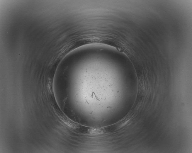 X0000062790141200512290232