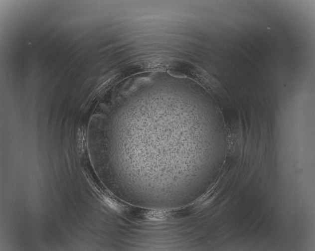 X0000062790142200512290232