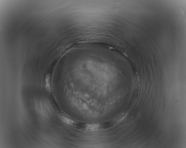 X0000062790143200512290232