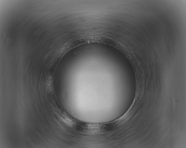 X0000062790144200512290232