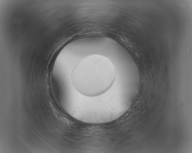 X0000062790146200512290231