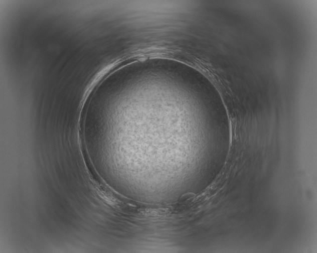 X0000062790147200512290231