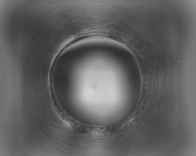 X0000062790148200512290231