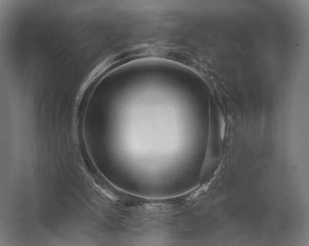 X0000062790150200512290231