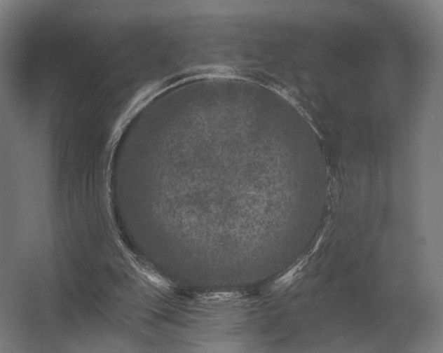 X0000062790151200512290231