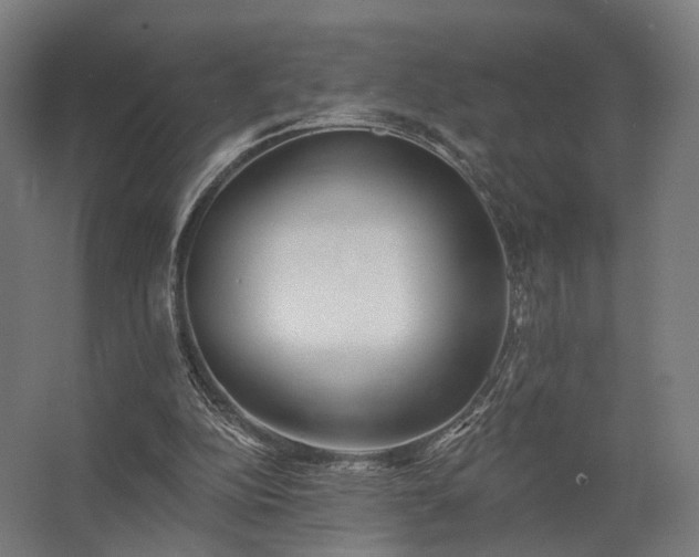 X0000062790152200512290231