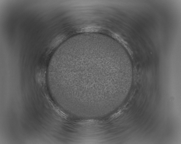 X0000062790153200512290231