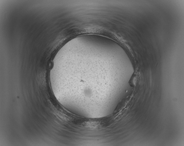 X0000062790154200512290231