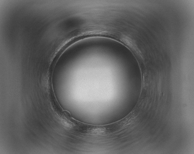 X0000062790156200512290231