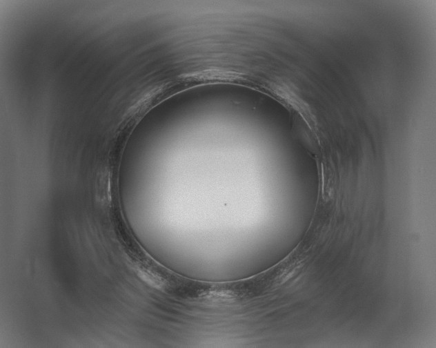 X0000062790157200512290231