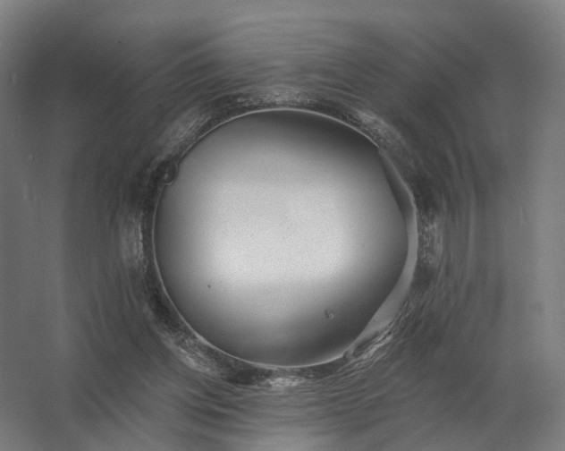 X0000062790158200512290232