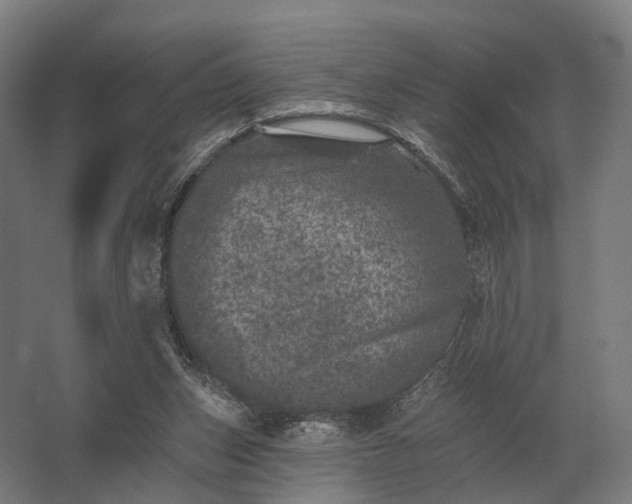 X0000062790159200512290232