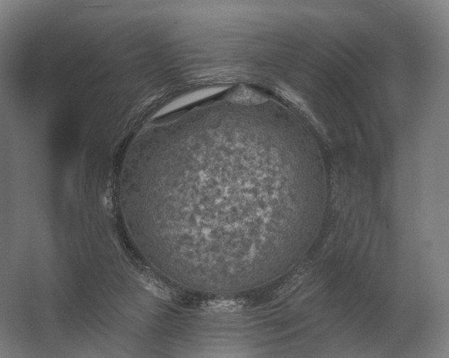 X0000062790161200512290232