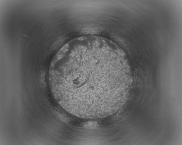 X0000062790162200512290232