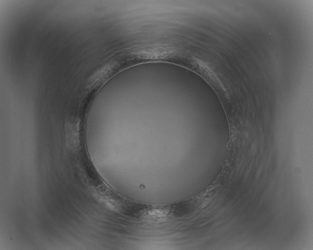 X0000062790163200512290232