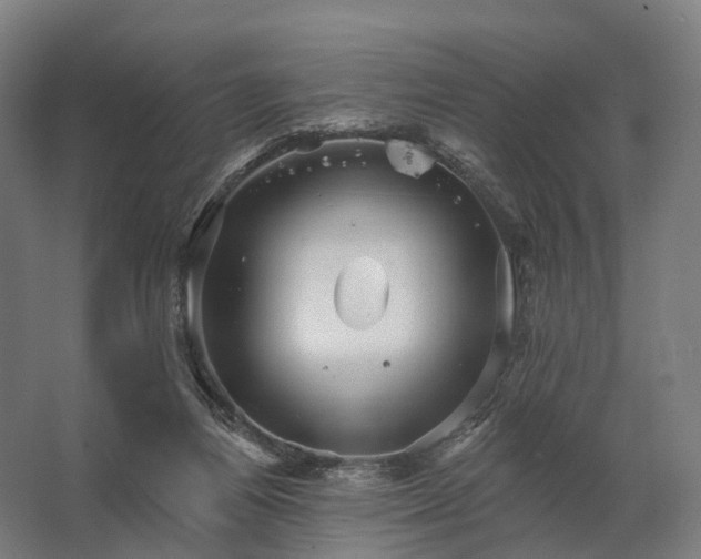 X0000062790164200512290232