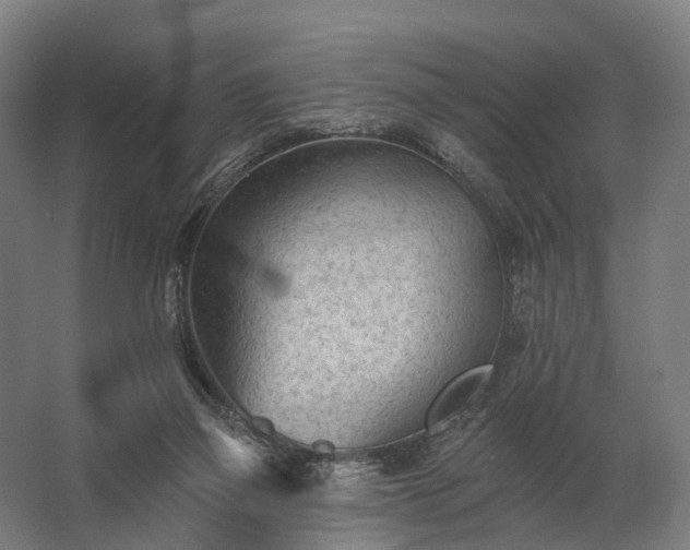 X0000062790165200512290232