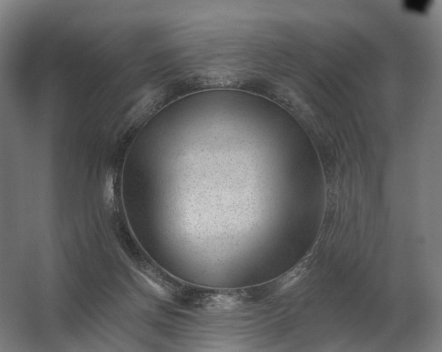 X0000062790166200512290232