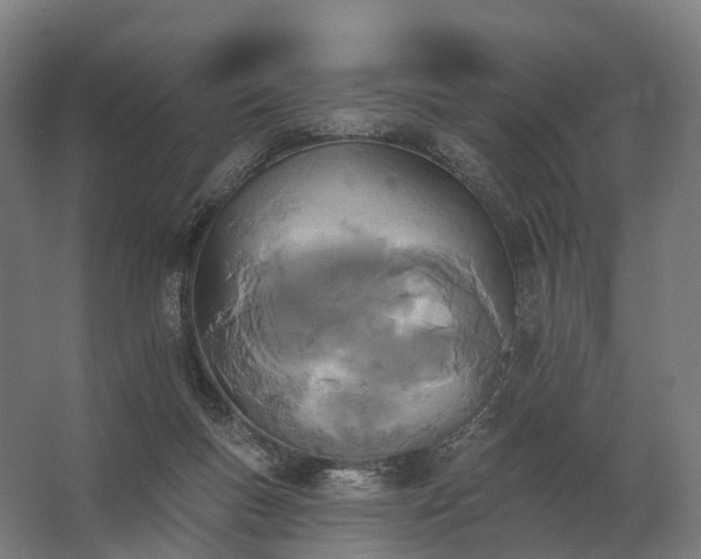 X0000062790167200512290232