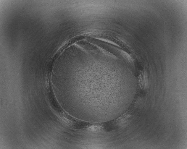 X0000062790168200512290232