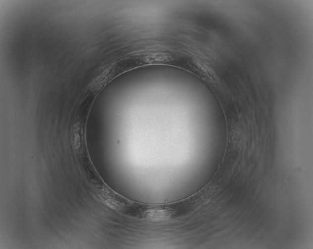 X0000062790169200512290232