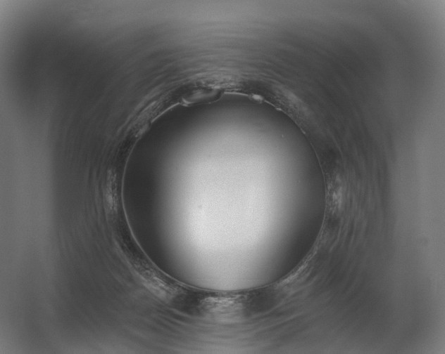 X0000062790170200512290232